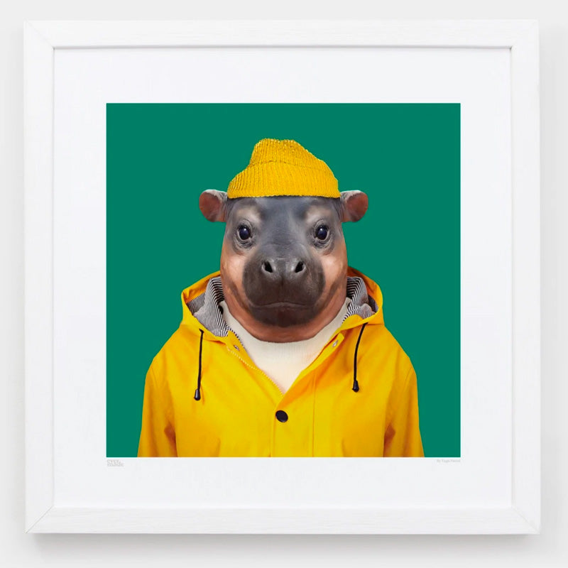 Zoo Portraits by Yago Partal | Fun For Your Walls